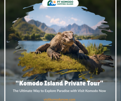 Blog_3_Visit Komodo Now